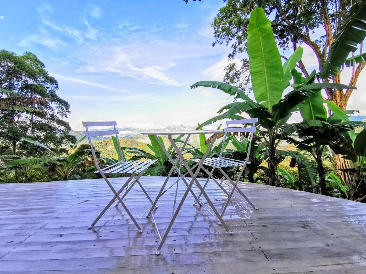 Bajo El Cielo Glamping San Francisco 호텔 샌프란시스코 외부 사진