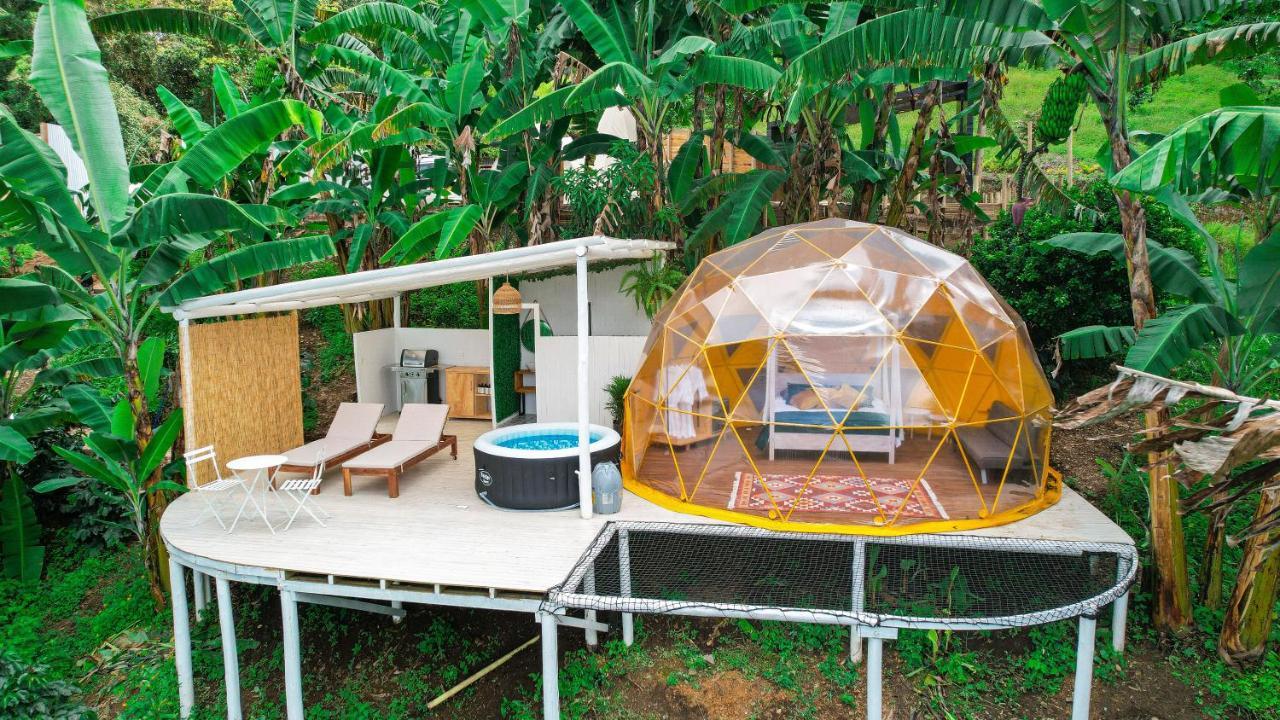 Bajo El Cielo Glamping San Francisco 호텔 샌프란시스코 외부 사진